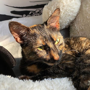 Meet your Posher, Ashley